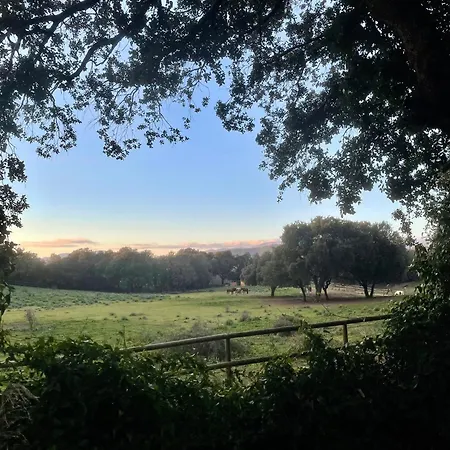 Entre Ajaccio Et Porticcio * Cauro