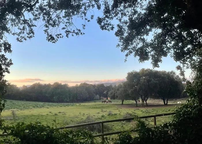 Entre Ajaccio Et Porticcio * Cauro